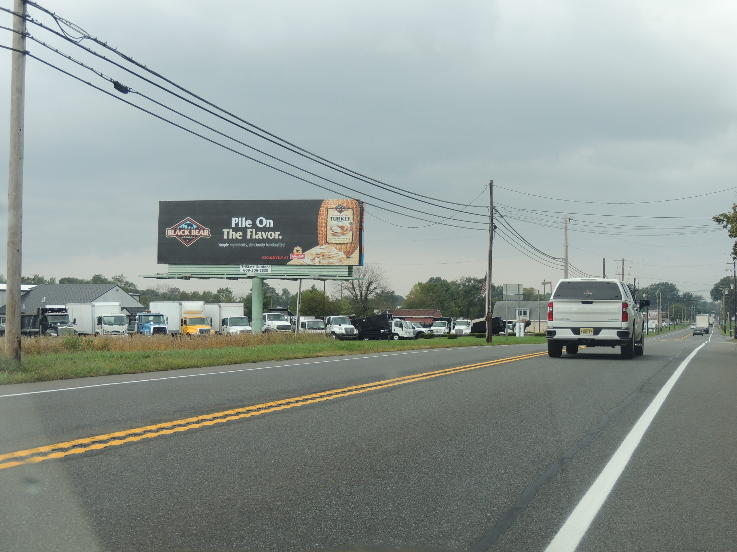 Rt. 40 East of Rt. 45 Black Bear